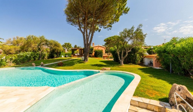 Villa con piscina immersa in un meraviglioso giardino - Wonderful Villa with pool and spacious garden