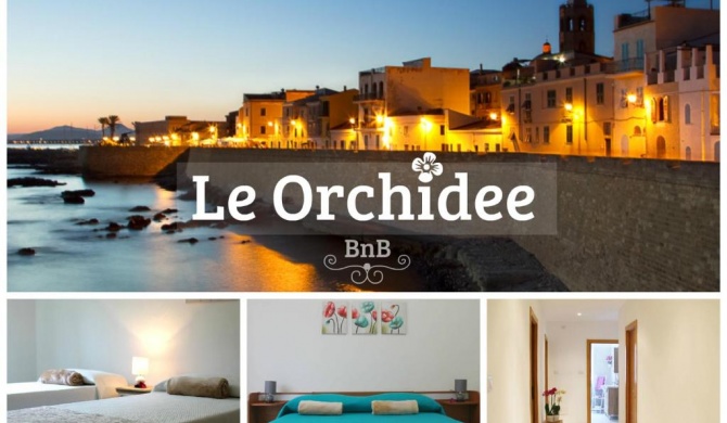 B&B Le Orchidee