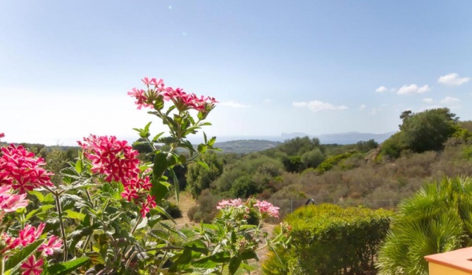 Country House Panoramic view