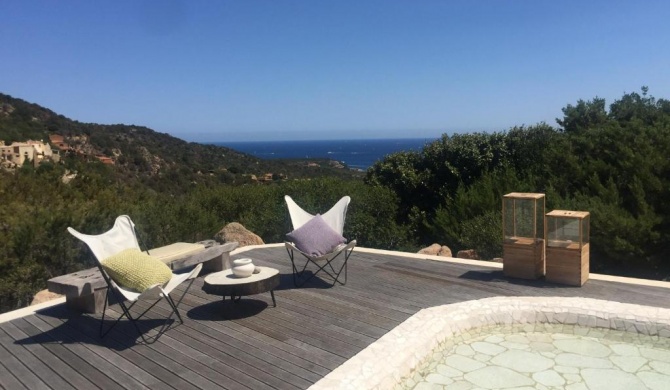 Luxury villa in porto cervo