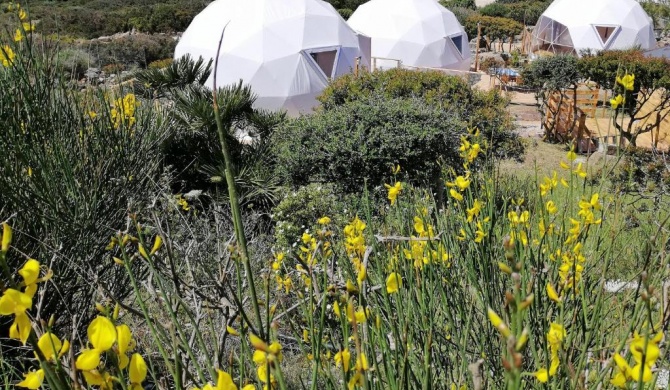 B&B Glamping Semaforo Capo Sperone