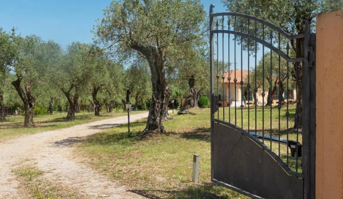 Welcomely - B&B Olivar