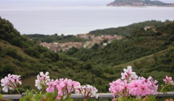 Appartamenti Con Vista Panoramica